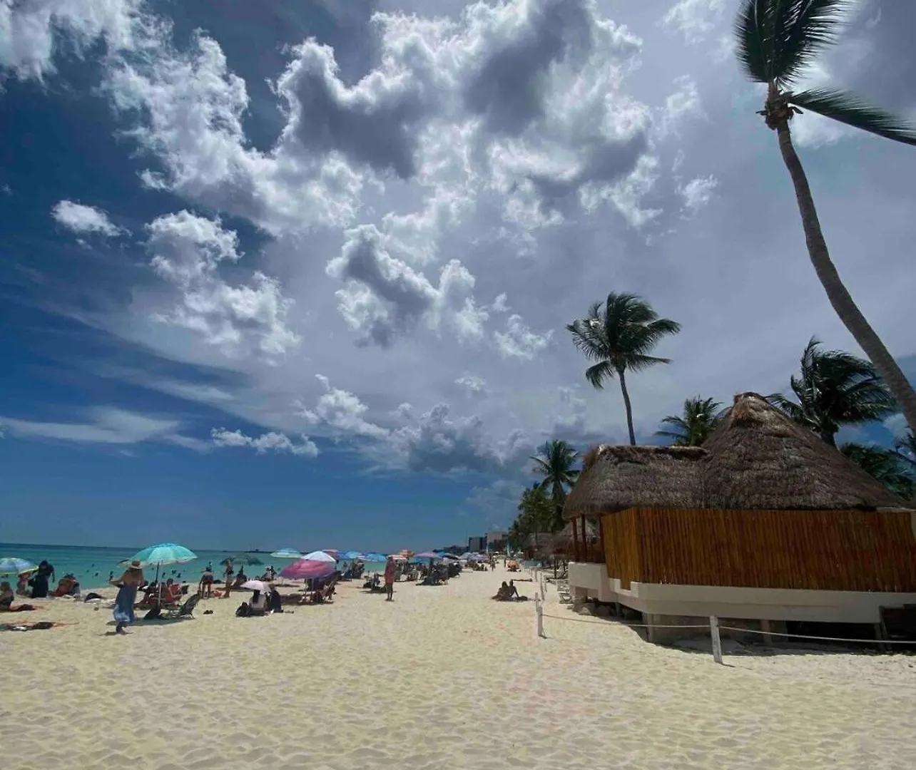 Private Pool Ph, Walk To Beach, 38Th & 5Th Playa del Carmen Apartment