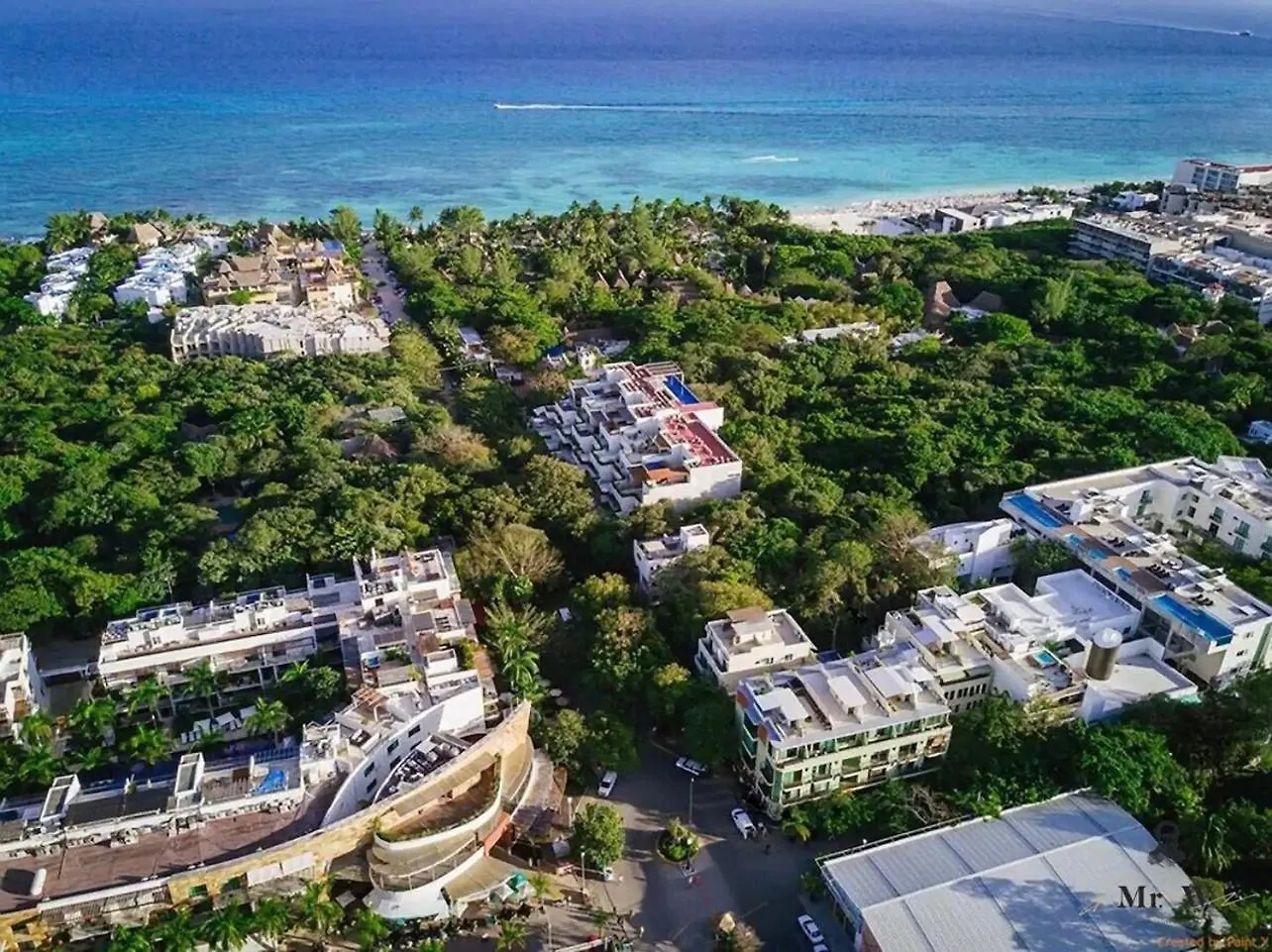 Private Pool Ph, Walk To Beach, 38Th & 5Th Playa del Carmen